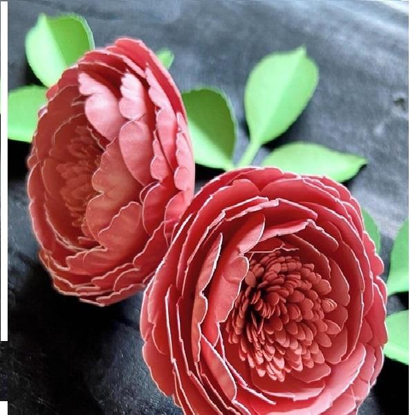 Flor Peônia com Pintura digital/Realista